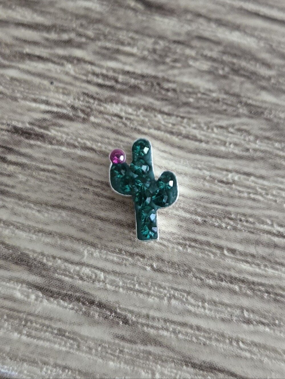 🦉Sparkle Cactus Charm